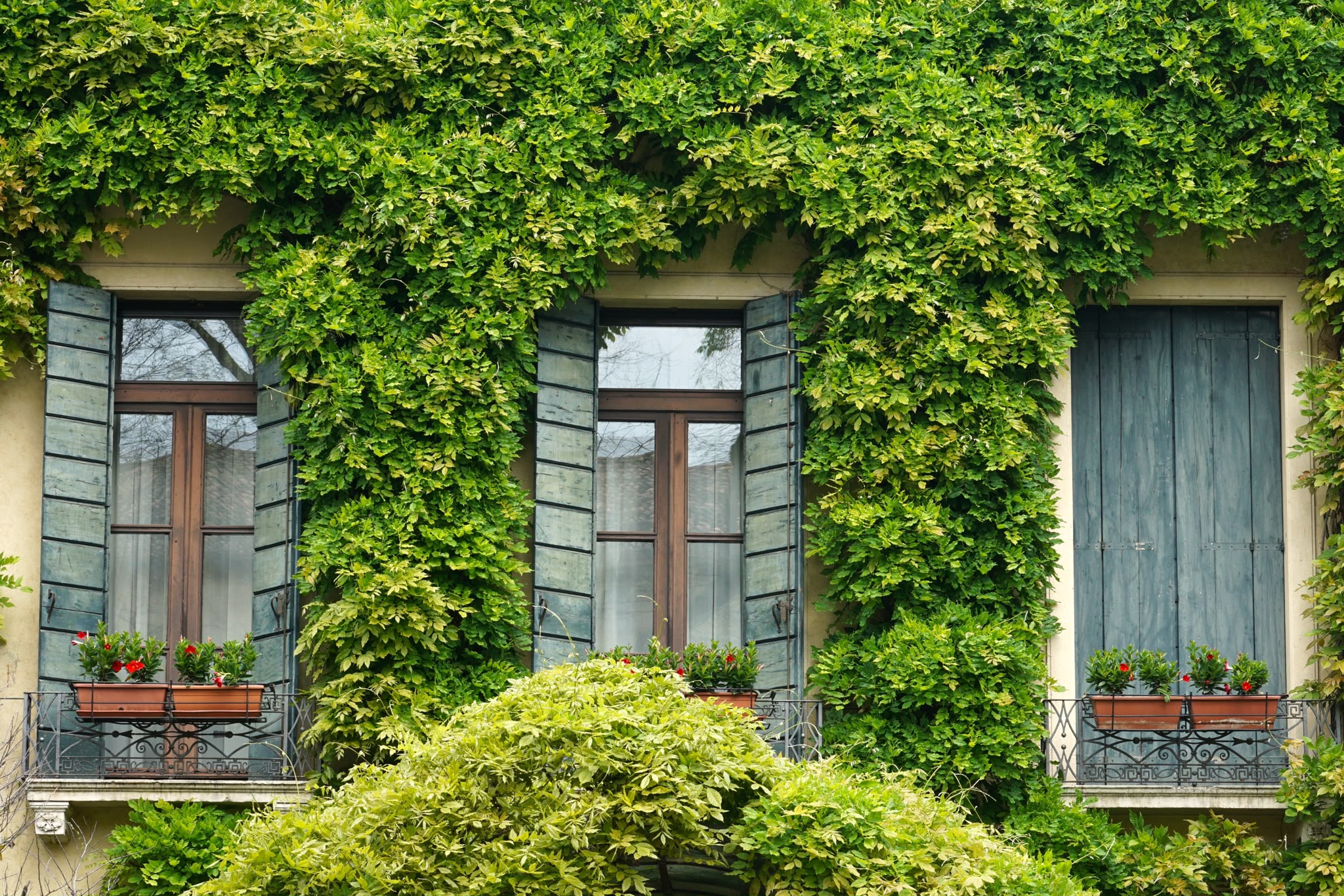 maison juillet — services